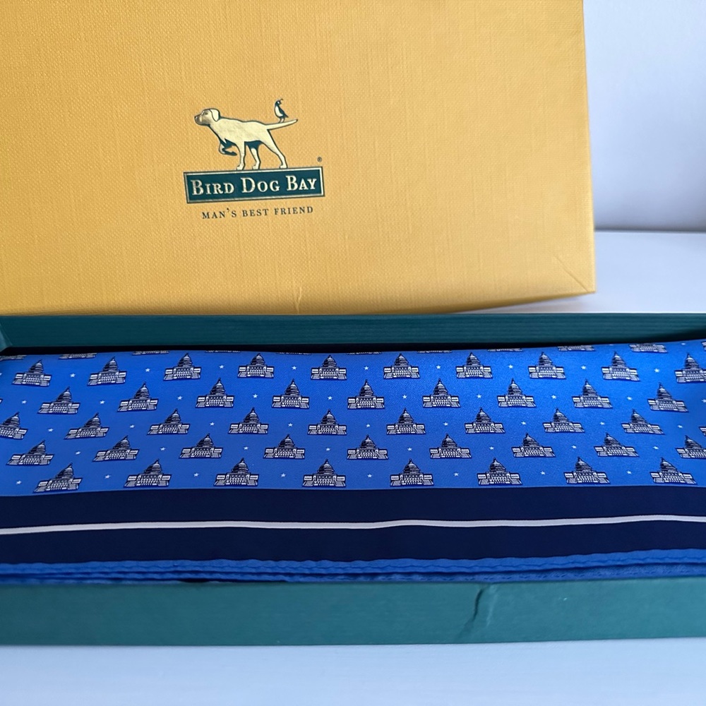 Bird Dog Bay United States Capital Silk Scarf